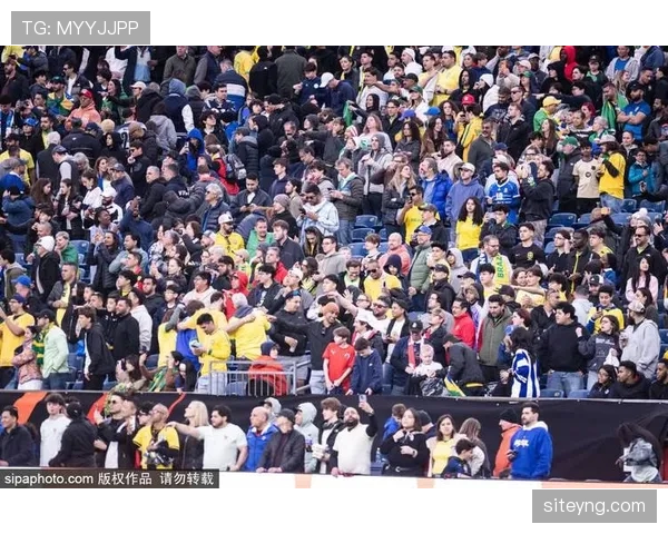 巴拉圭队能否重返2026世界杯 美加墨世预赛前景分析